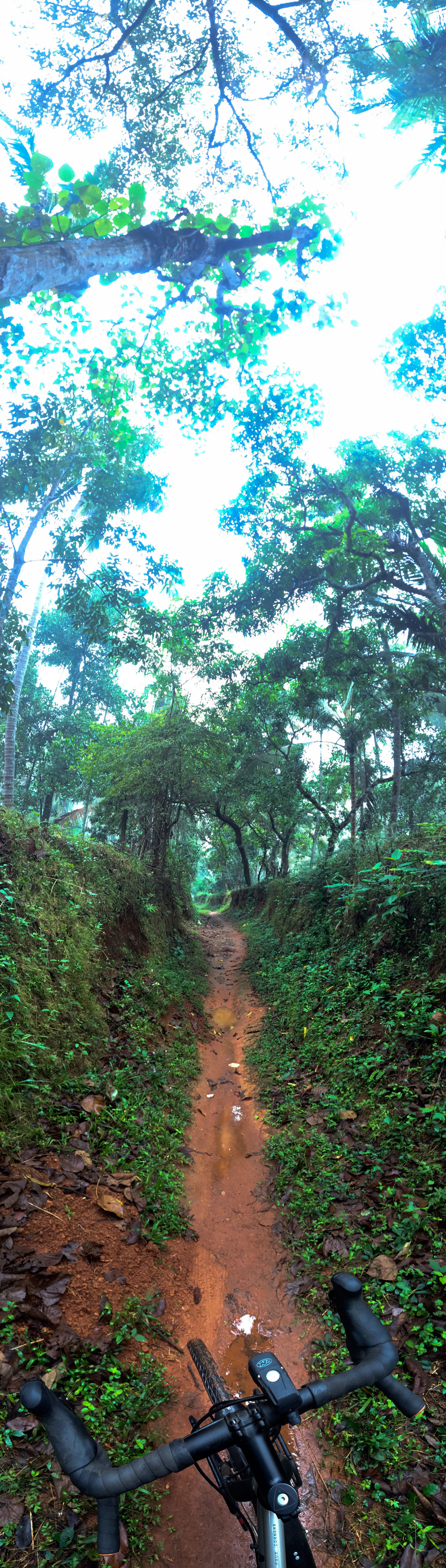 SingleTrackIsh-IMG_5402.jpg